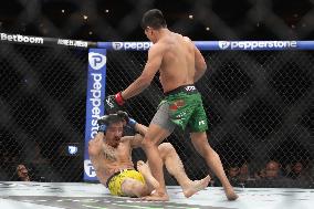 UFC Fight Night: Moreno V Erceg