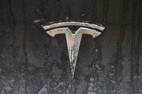 Vehicle Emblems