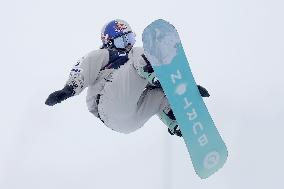 Snowboarding: World championships
