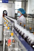 Pomegranate Juice Beverage Manufacturing in Zaozhuang