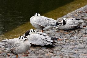 Kharkiv Zoo celebrates International Bird Day