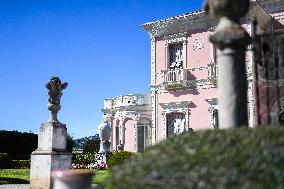 Illustration - City of Nice - France