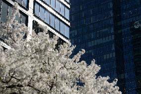 Warsaw Daily Life During Spring.