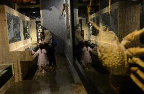 Bogor Zoological Museum In Indonesia