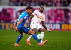 RB Leipzig v TSG Hoffenheim- 1. Bundesliga
