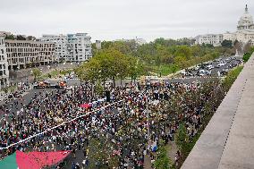 Gaza Protesters March In Washington DC