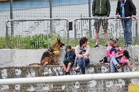 CALCIO - Serie C Italia - Torres vs Spal
