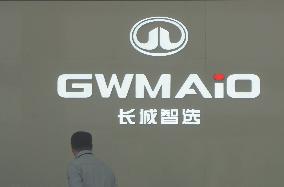 GWM 2025 Q1 Sales Decrease