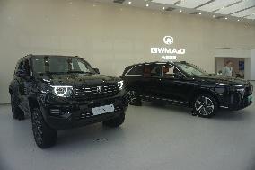 GWM 2025 Q1 Sales Decrease