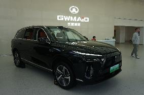 GWM 2025 Q1 Sales Decrease