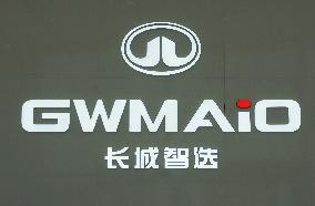 GWM 2025 Q1 Sales Decrease