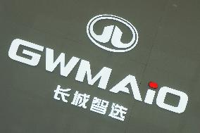 GWM 2025 Q1 Sales Decrease