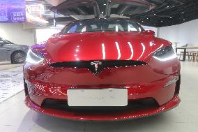 Tesla 2025 Q1 Decline