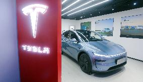 Tesla 2025 Q1 Decline
