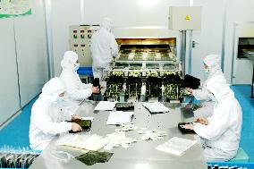 Sushi Nori Manufacturing in Hai'an