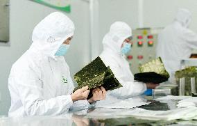 Sushi Nori Manufacturing in Hai'an