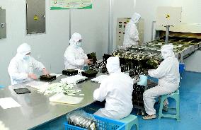 Sushi Nori Manufacturing in Hai'an