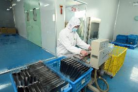 Sushi Nori Manufacturing in Hai'an