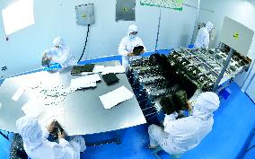 Sushi Nori Manufacturing in Hai'an