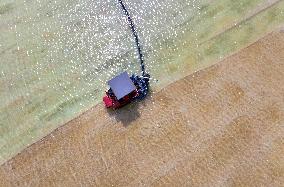 Guanxi Salt Field in Lianyungang