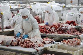 Beef Import