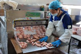 Beef Import