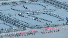 Yangcheng Lake Hairy Crab