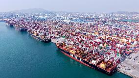 2025 Q1 Shandong Ports Business Growth