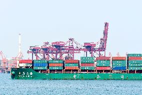 2025 Q1 Shandong Ports Business Growth
