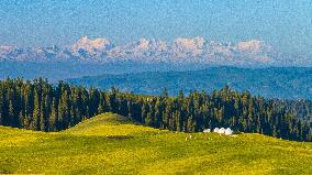 CHINA-XINJIANG-TEKES COUNTY-VIEW (CN)