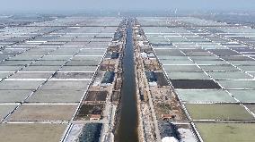 Salt Field