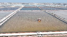 Salt Field