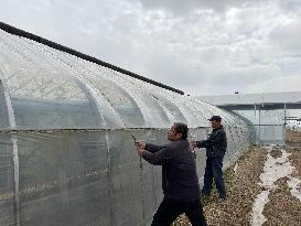 Farmers Reinforce Vegetable Greenhouses in Binzhou