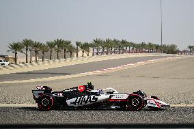 F1 Grand Prix of Bahrain - Practice