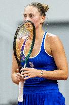 Switzerland vs Ukraine ? Billie Jean King Cup