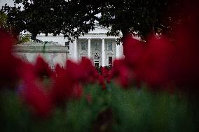 The White House on a rainy afternoon