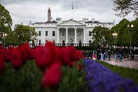 The White House on a rainy afternoon