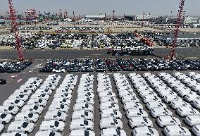 Chinese-made New Energy Vehicles Export