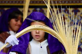The Brotherhood Of The Pollinica Processions - Malaga
