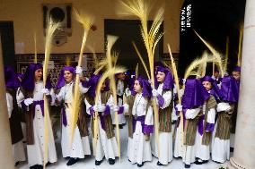 The Brotherhood Of The Pollinica Processions - Malaga