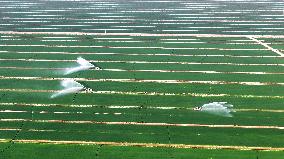 Smart Agriculture