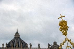 Palm Sunday Celebration in Vatican