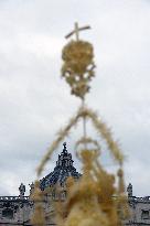 Palm Sunday Celebration in Vatican
