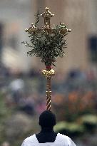Palm Sunday Celebration in Vatican
