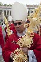 Palm Sunday Celebration in Vatican
