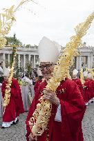 Palm Sunday Celebration in Vatican