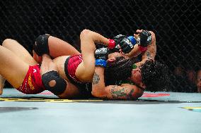 UFC 314 - Volkanovski vs Lopes