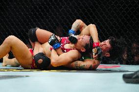 UFC 314 - Volkanovski vs Lopes