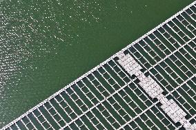 Floating Distributed PV Power Station