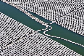 Floating Distributed PV Power Station